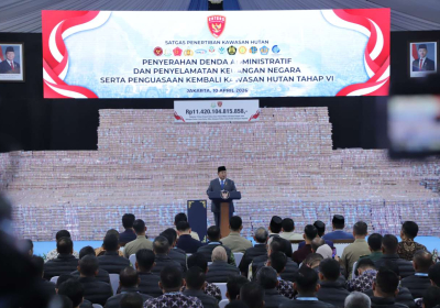 Compress_20260411_213643_3276